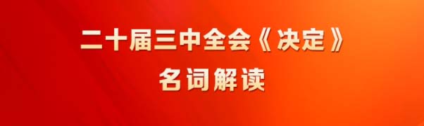 黨的二十屆三中全會《決定》系列名詞解讀